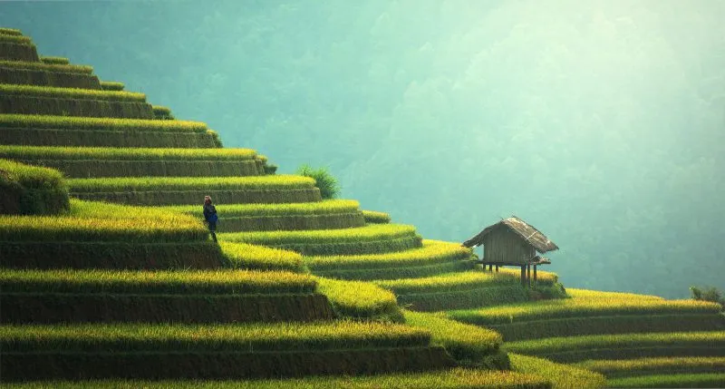 Wakacje na Bali – skorzystaj z promocyjnych ofert!